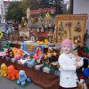 Фотогалерея СЮТ